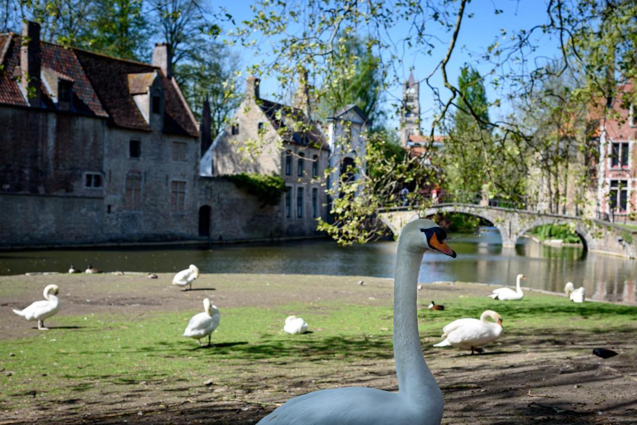 Bed and Breakfast Haven 7 Bruges Esterno foto